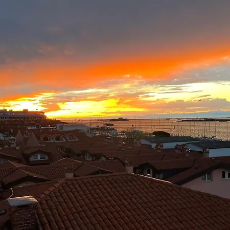 Laguna